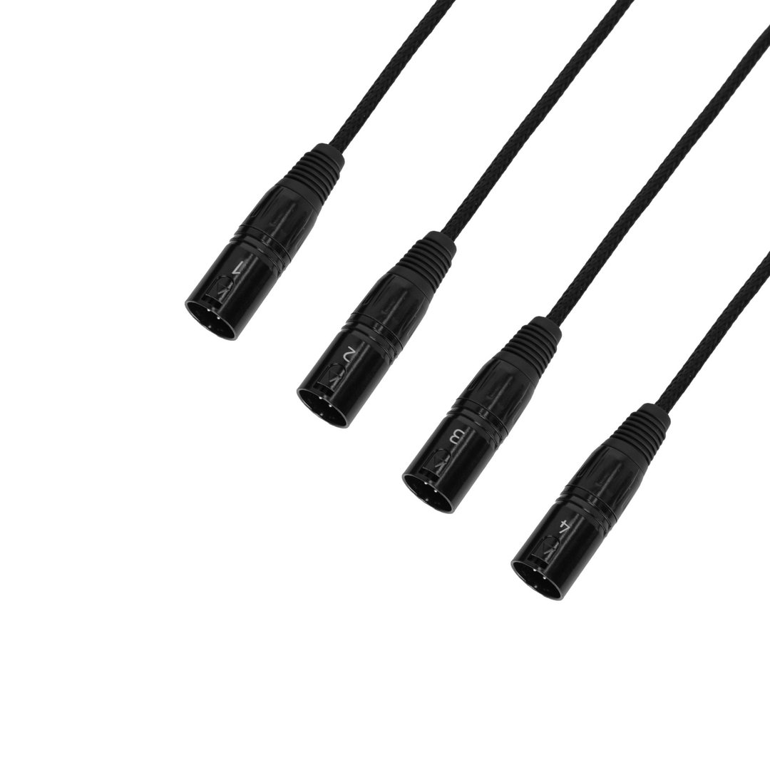 Adam Hall Cables 4 STAR CATBOX XM5 Audio & DMX Multicore | Adam Hall® 4 XLR 5-Pol Male x Cat.6a
