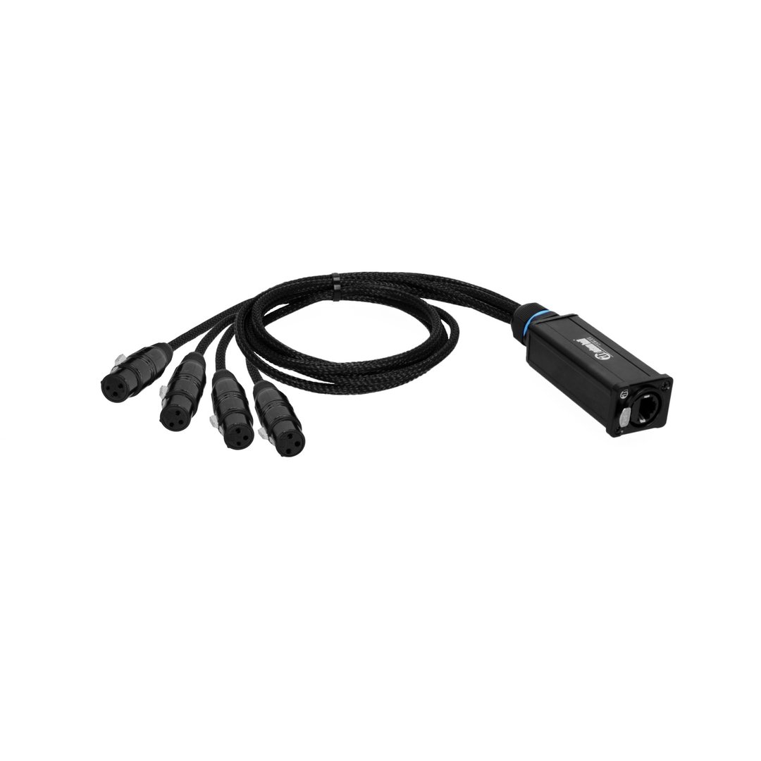 Adam Hall Cables  4 STAR CATBOX XF3  Audio & DMX Multicore | Adam Hall® 4 XLR 3-Pol Female x Cat.6a