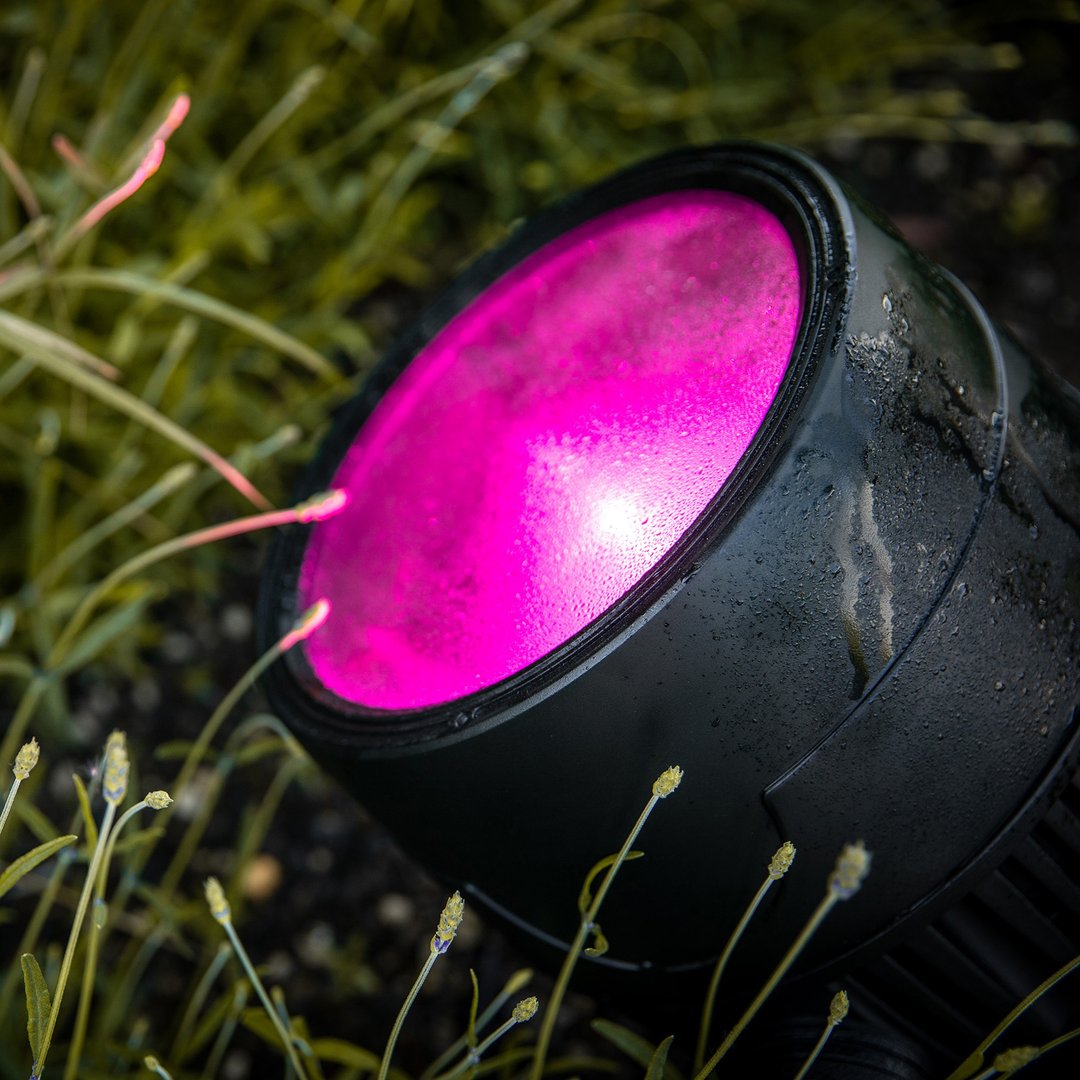 Cameo ZENIT Z180 G2 Professioneller PAR-Scheinwerfer mit Zoom und Schutzklasse IP65